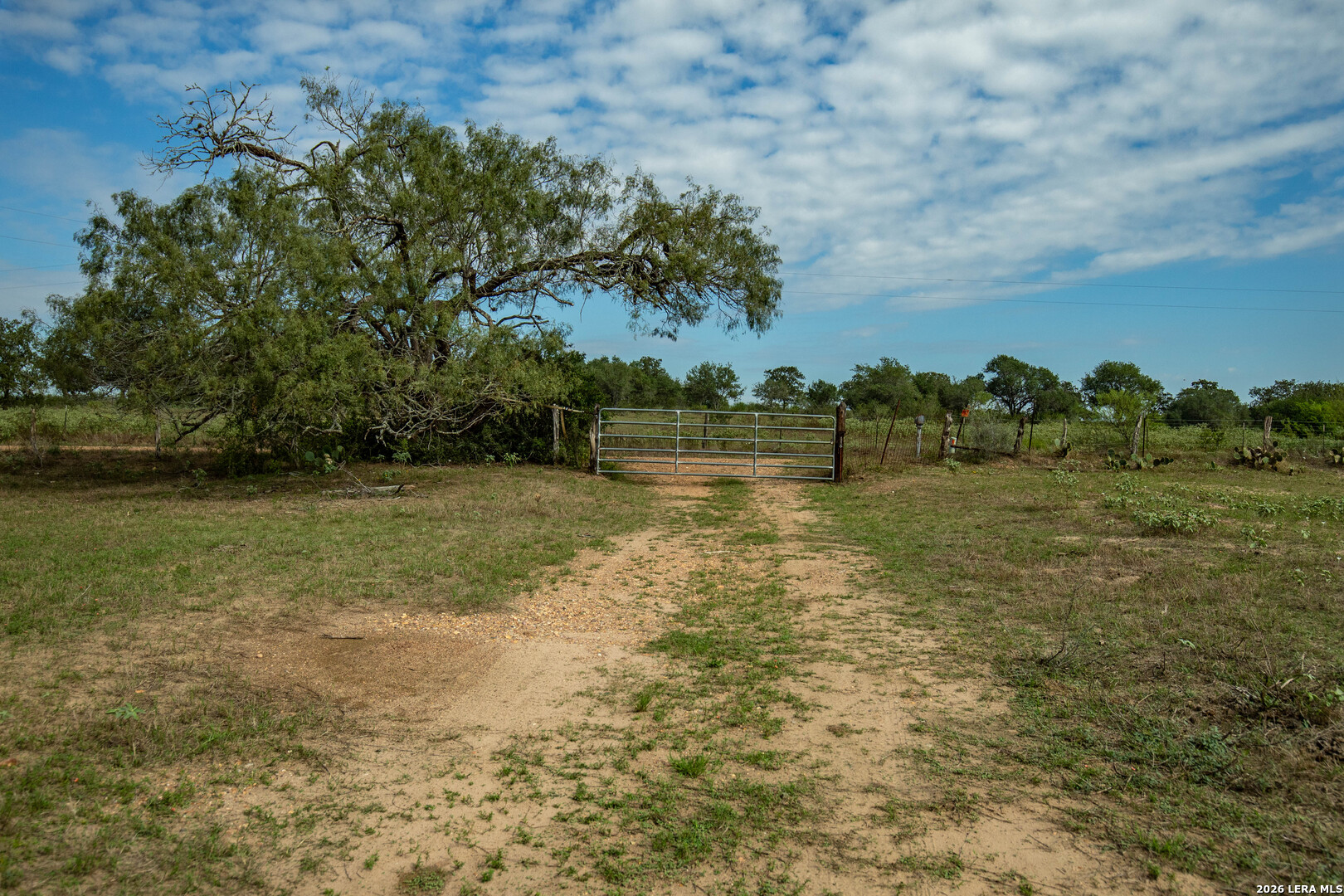 1116 Earl Williams Cuero TX 77954