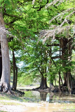 149 Bloodhound Sisterdale TX 78006