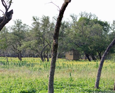 149 Bloodhound Sisterdale TX 78006