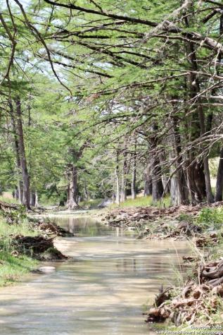 149 Bloodhound Sisterdale TX 78006