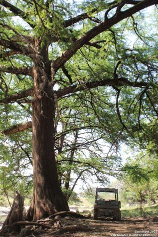 149 Bloodhound Sisterdale TX 78006