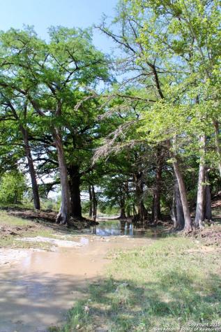 149 Bloodhound Sisterdale TX 78006