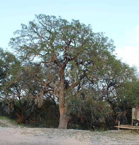 149 Bloodhound Sisterdale TX 78006