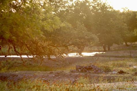 149 Bloodhound Sisterdale TX 78006