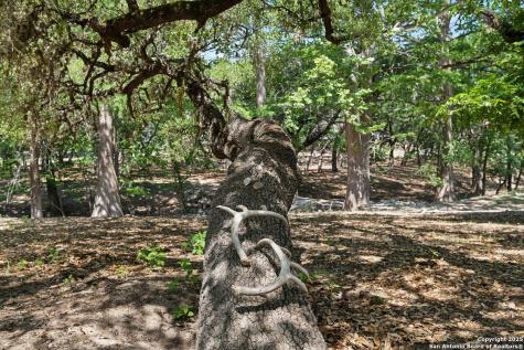 149 Bloodhound Sisterdale TX 78006