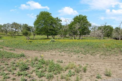 149 Bloodhound Sisterdale TX 78006