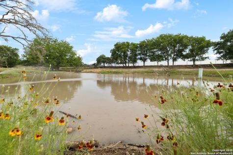 149 Bloodhound Sisterdale TX 78006