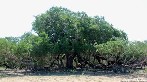 149 Bloodhound Sisterdale TX 78006