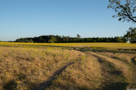 14926 County Road 438 Lindale TX 75771
