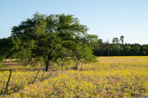 14926 County Road 438 Lindale TX 75771