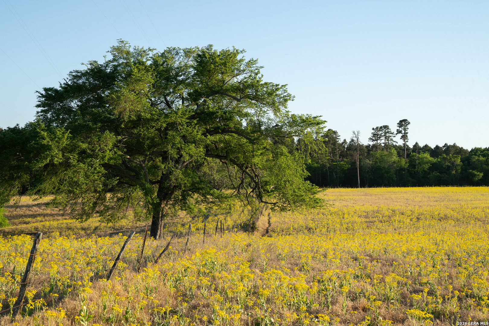 14926 County Road 438 Lindale TX 75771
