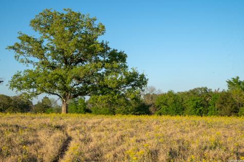 14926 County Road 438 Lindale TX 75771