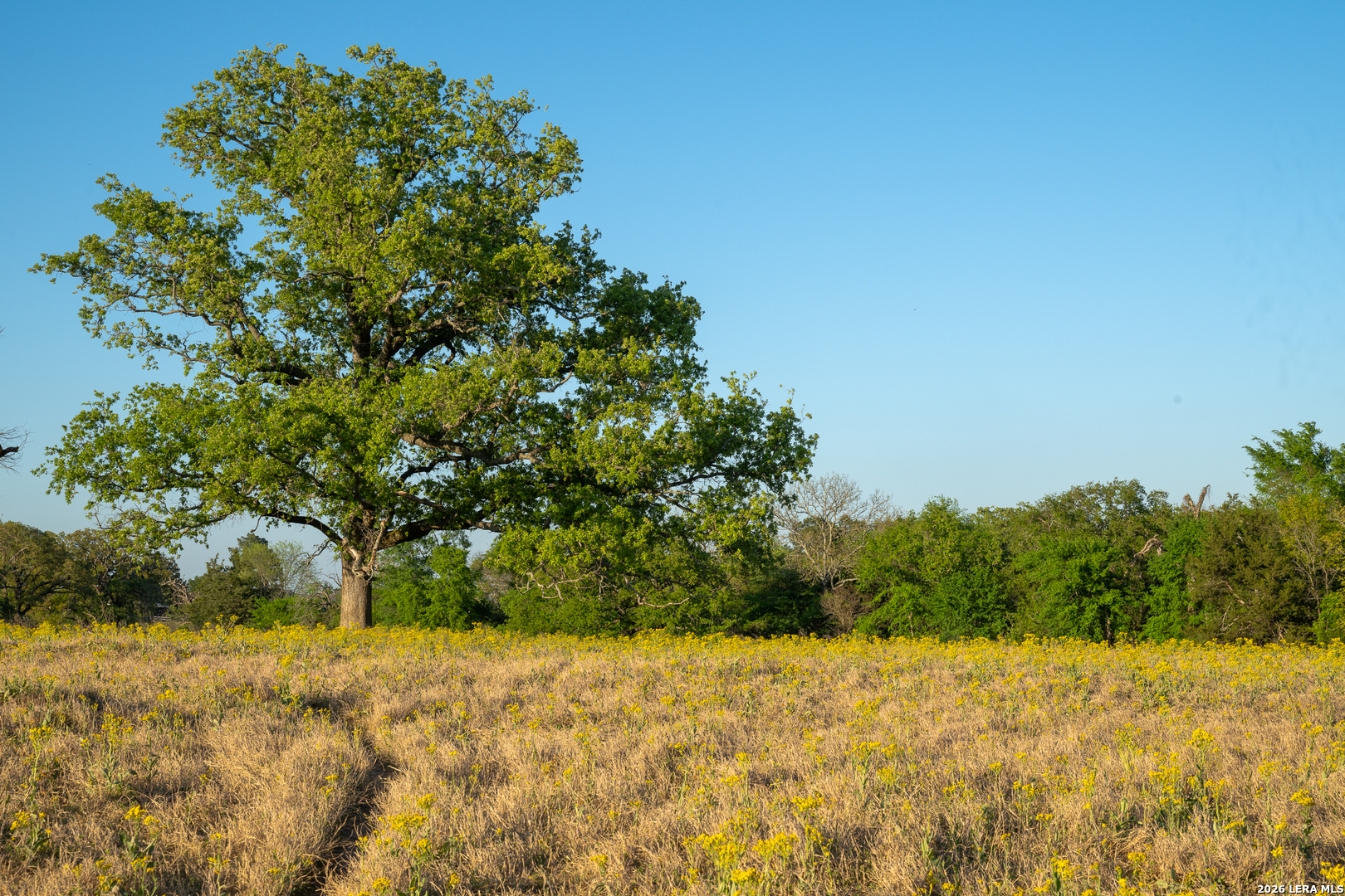 14926 County Road 438 Lindale TX 75771