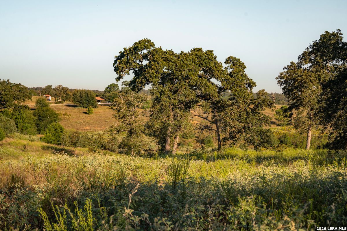849 County Road 331a Milano TX 76556