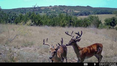 0 County Road 535 Evant TX 76853