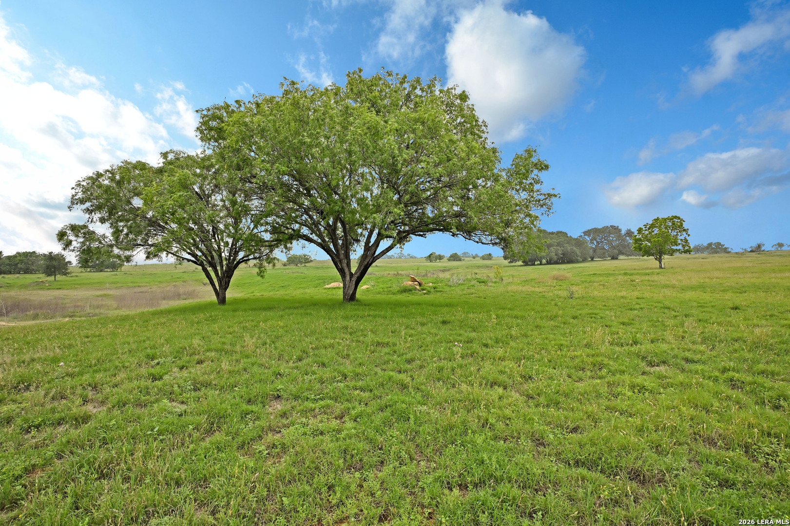 1335 N Gable Road St Hedwig TX 78152