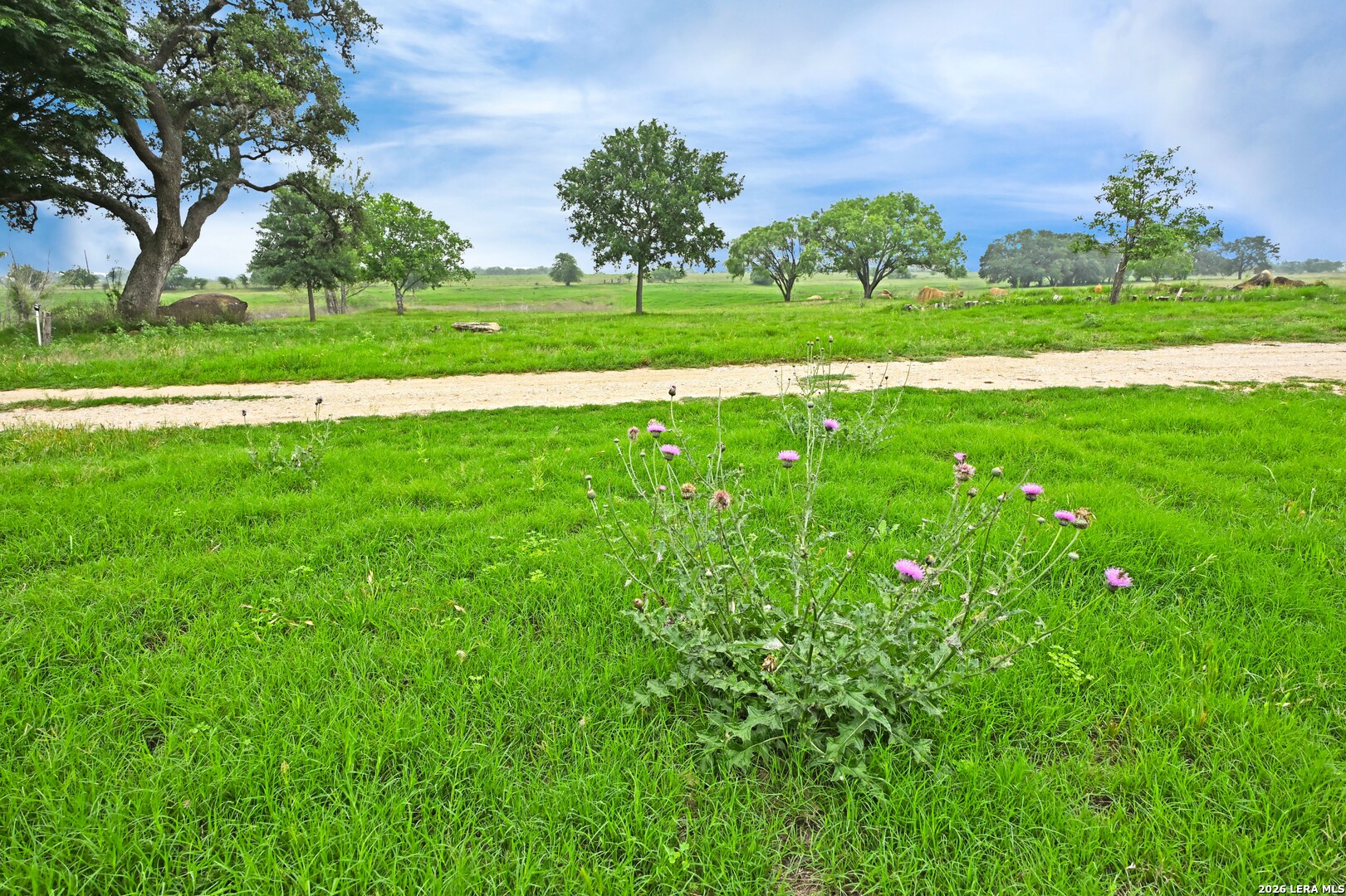 1335 N Gable Road St Hedwig TX 78152