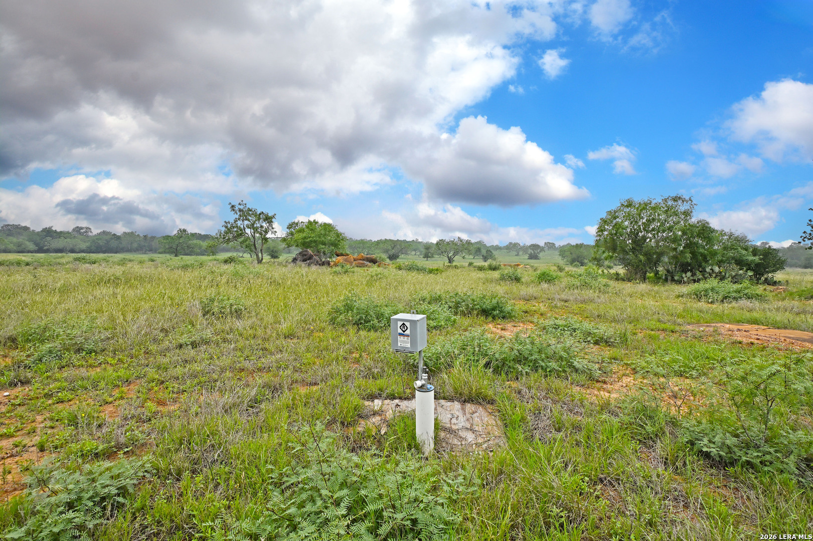 1335 N Gable Road St Hedwig TX 78152