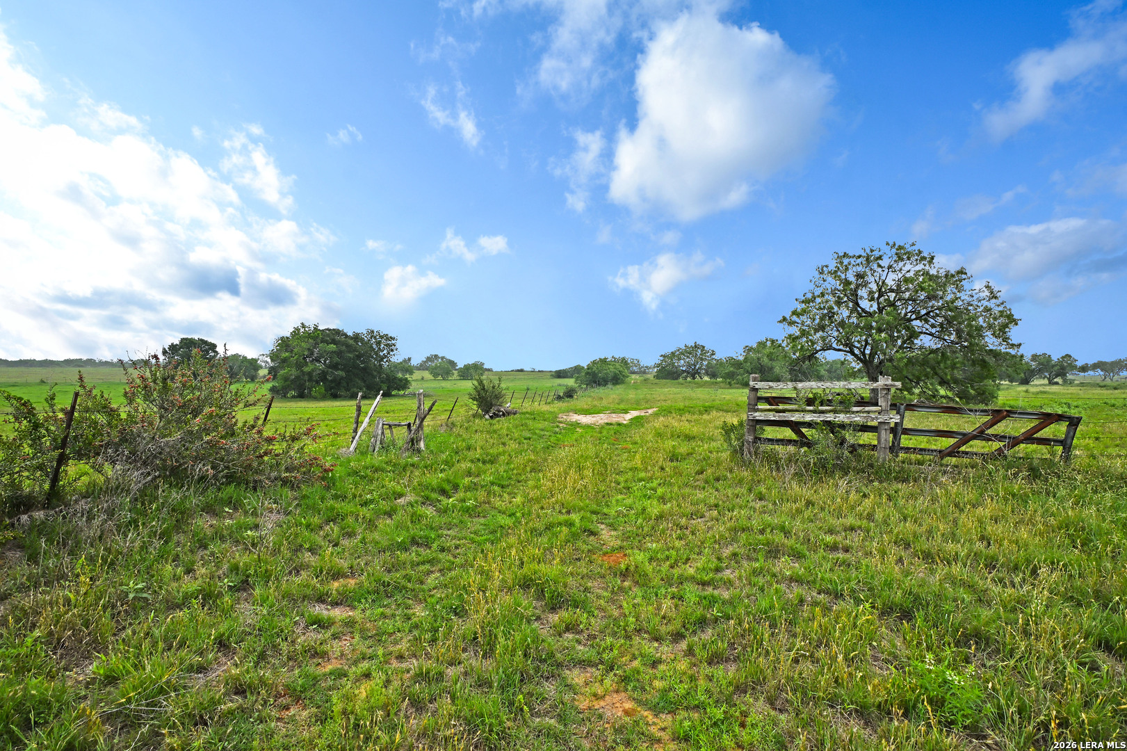 1335 N Gable Road St Hedwig TX 78152