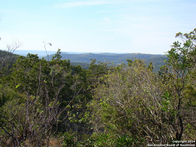 Lot 375 County Road 2744 Mico TX 78056