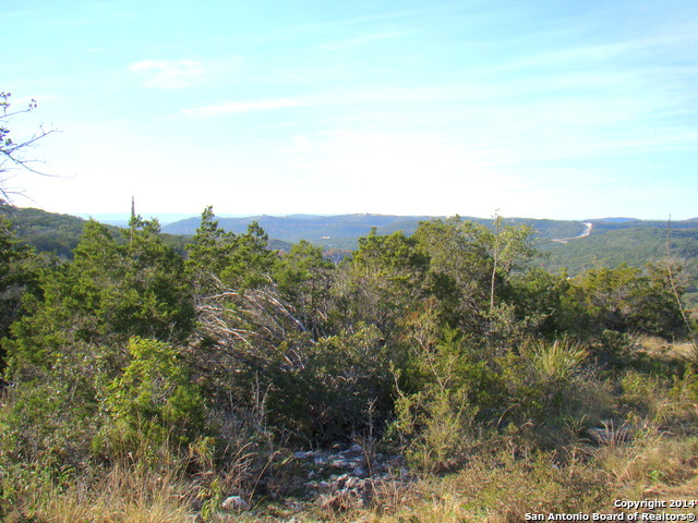 Lot 375 County Road 2744 Mico TX 78056