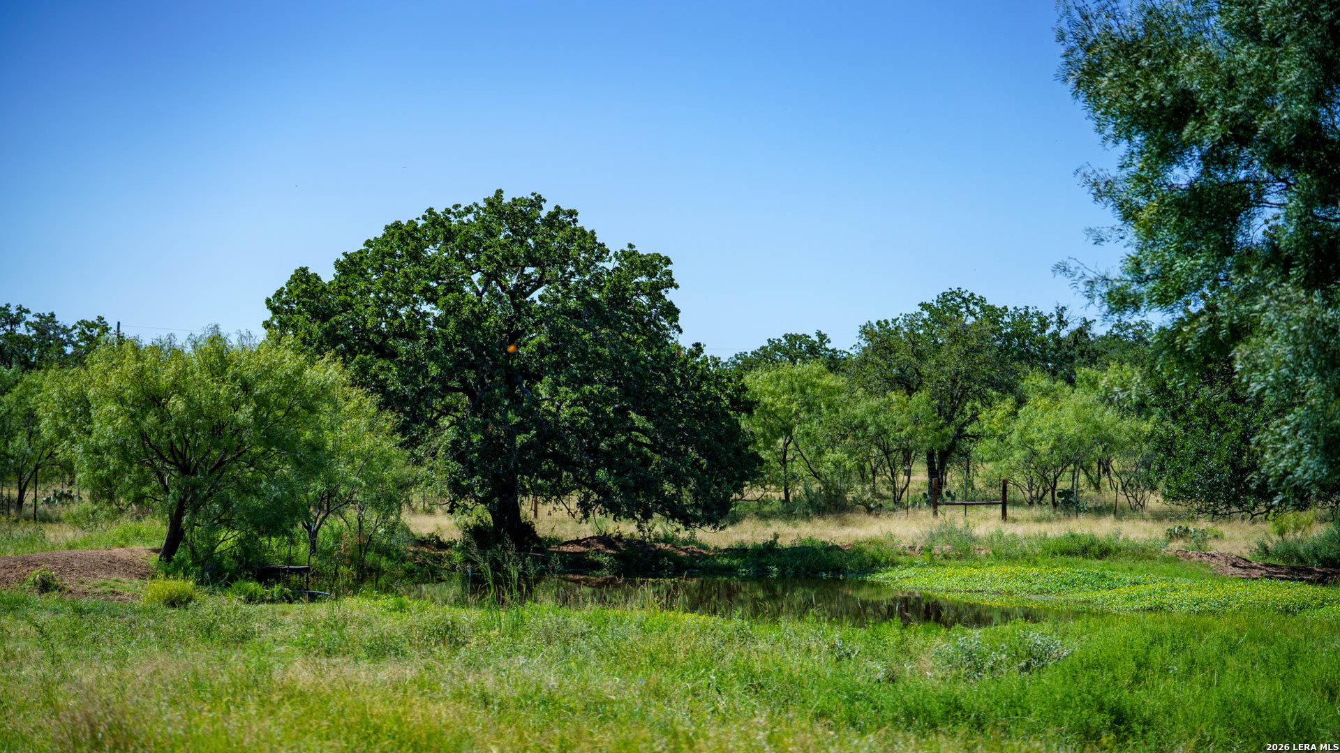 9978 Hay Spring Fredonia TX 76842