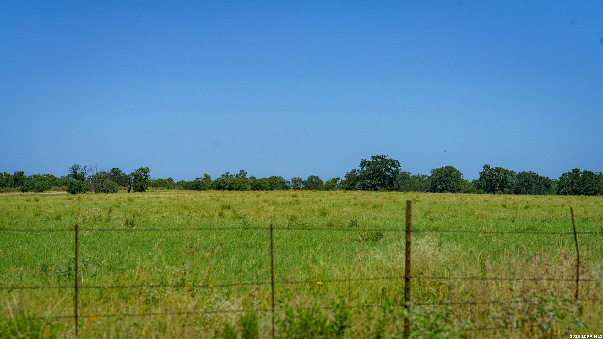 9978 Hay Spring Fredonia TX 76842