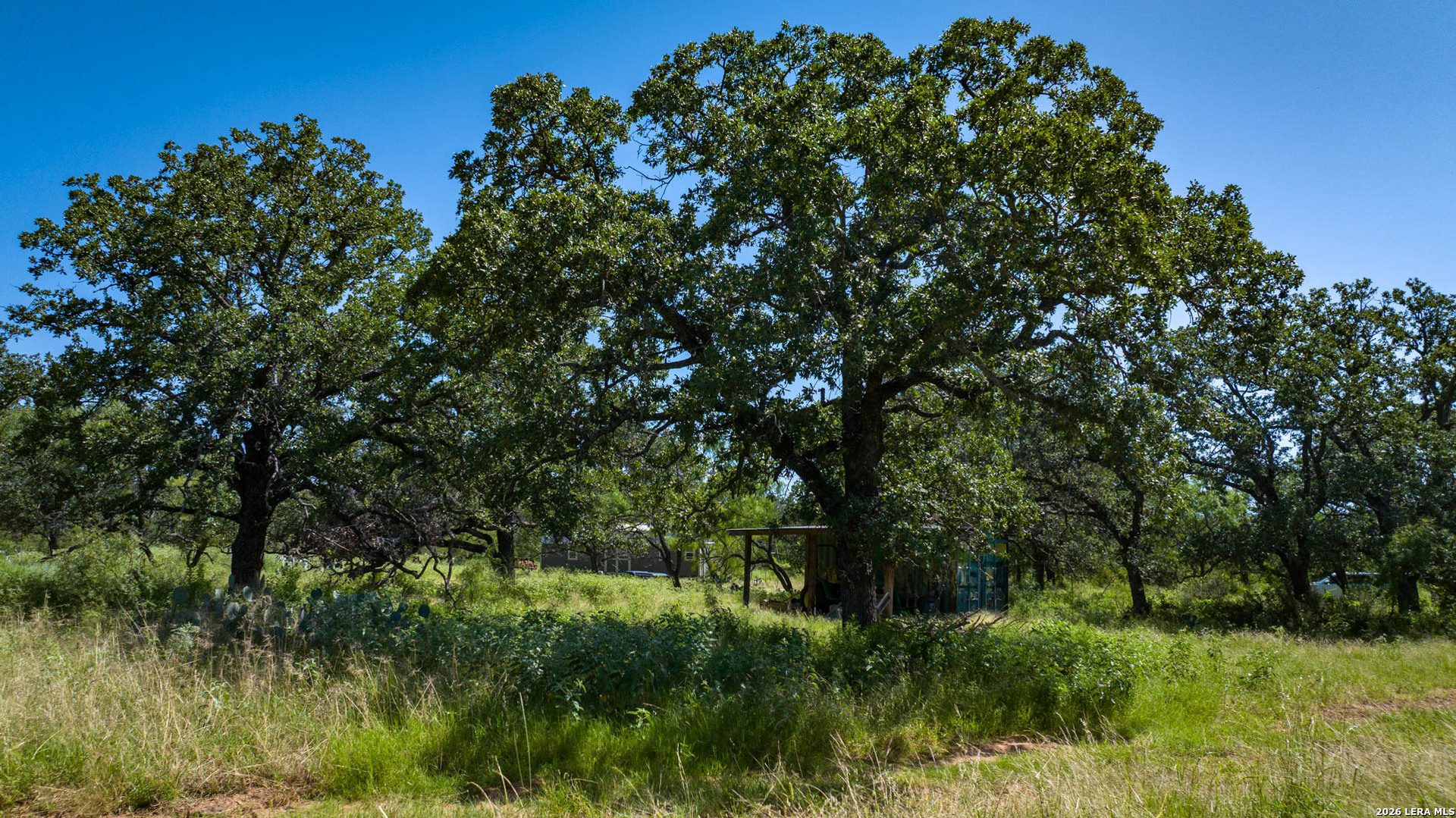9978 Hay Spring Fredonia TX 76842