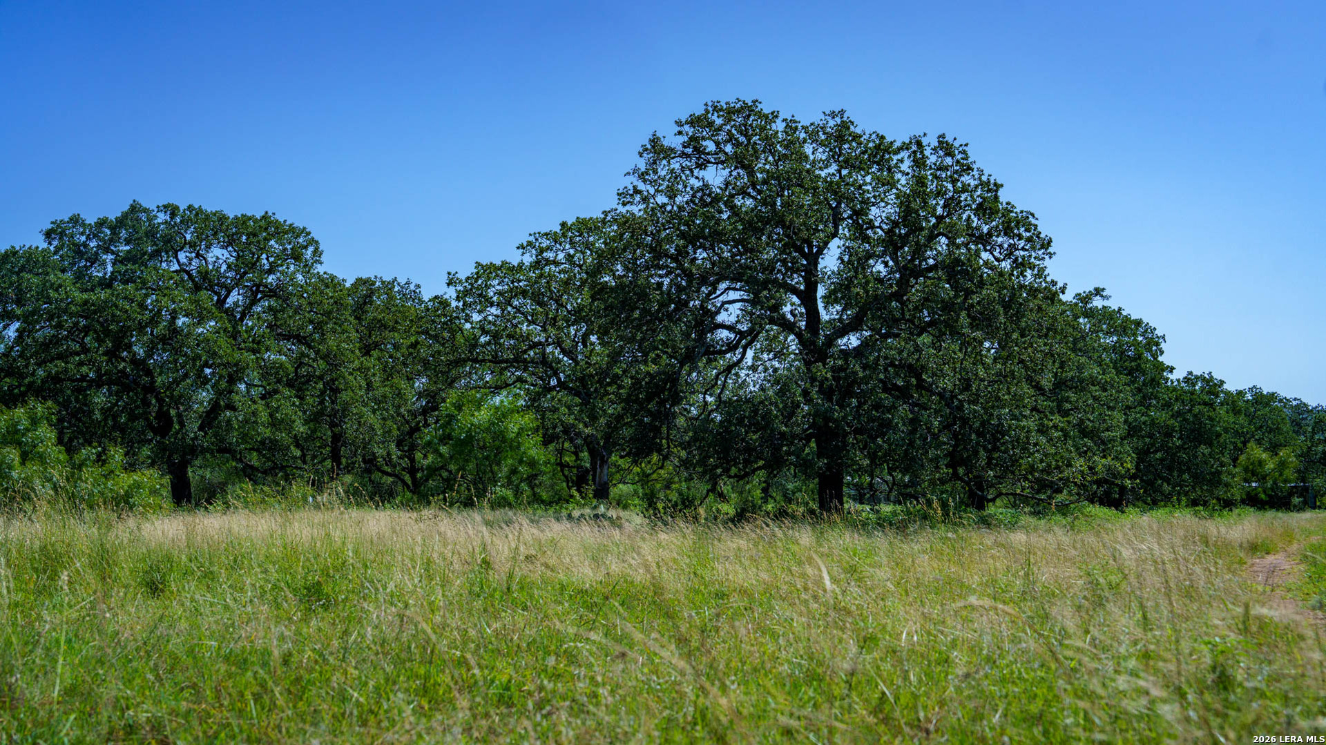 9978 Hay Spring Fredonia TX 76842