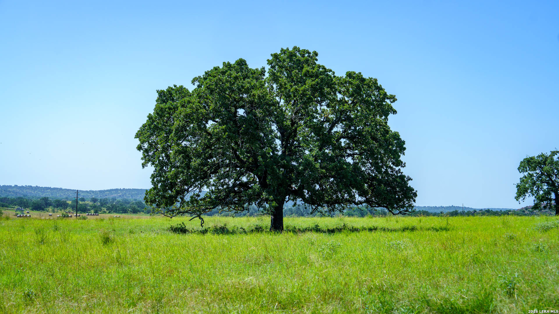 9978 Hay Spring Fredonia TX 76842
