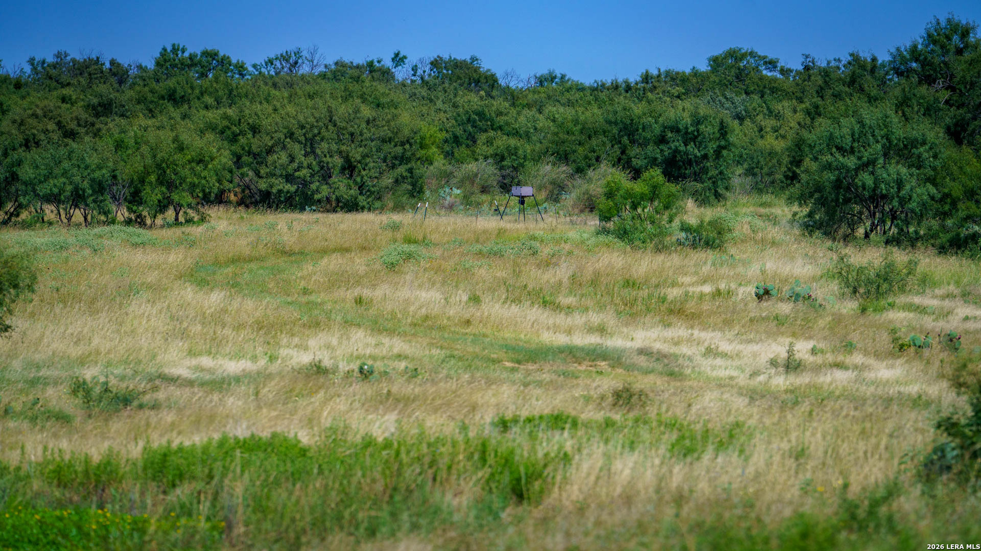 9978 Hay Spring Fredonia TX 76842