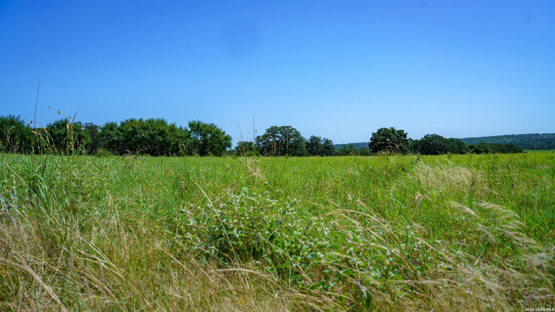 9978 Hay Spring Fredonia TX 76842
