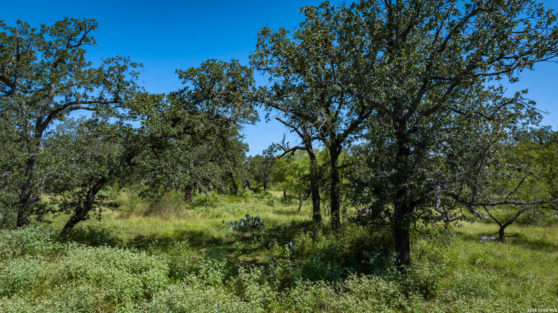 9978 Hay Spring Fredonia TX 76842