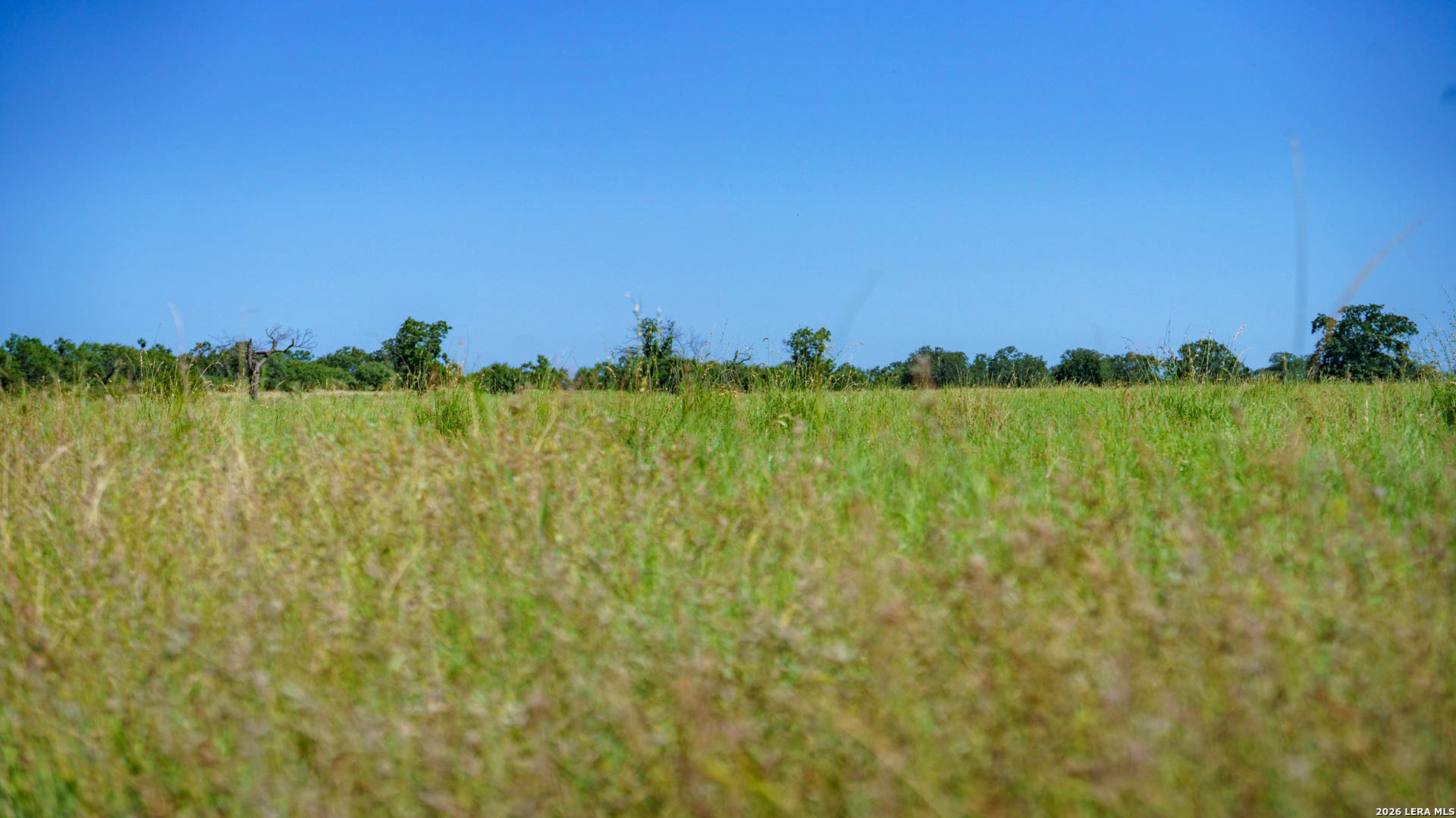 9978 Hay Spring Fredonia TX 76842