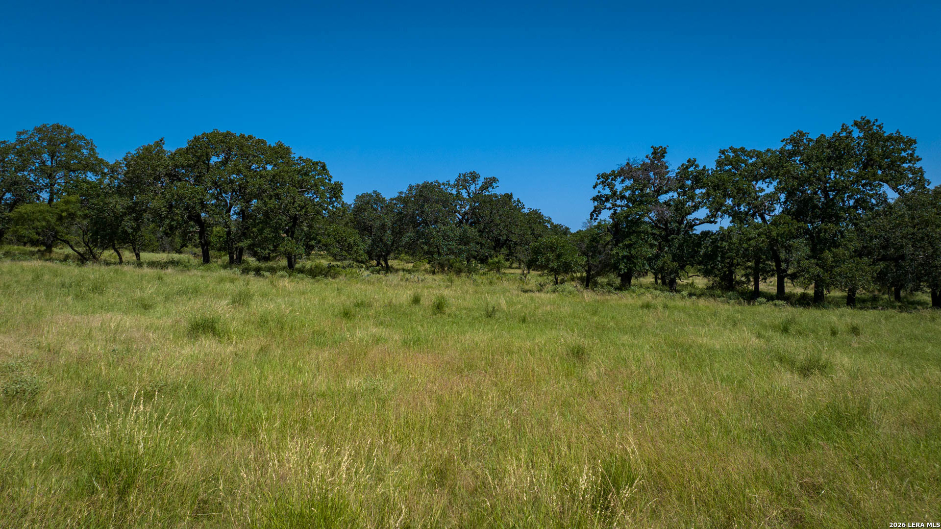 9978 Hay Spring Fredonia TX 76842
