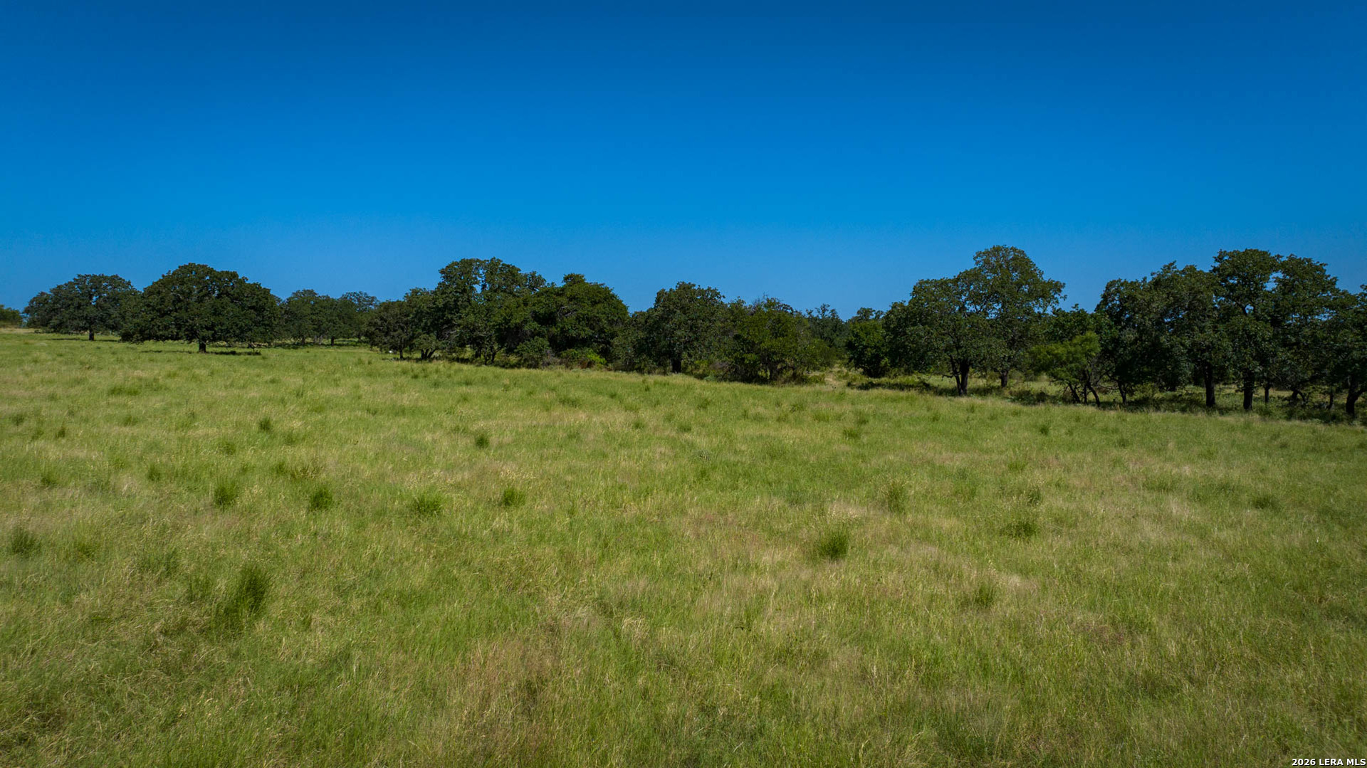 9978 Hay Spring Fredonia TX 76842