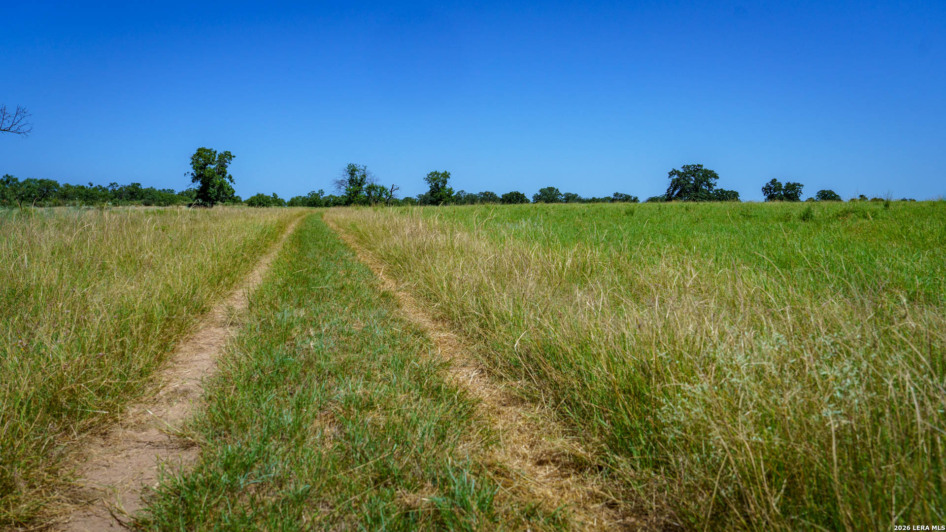 9978 Hay Spring Fredonia TX 76842