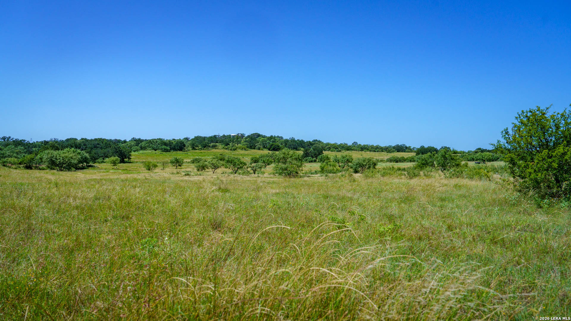 9978 Hay Spring Fredonia TX 76842