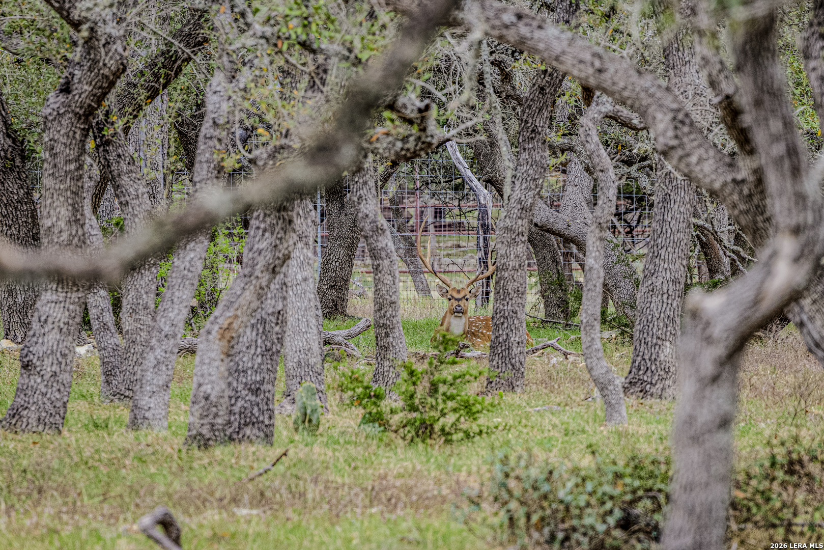 Tbd Sattler Road Spring Branch TX 78070