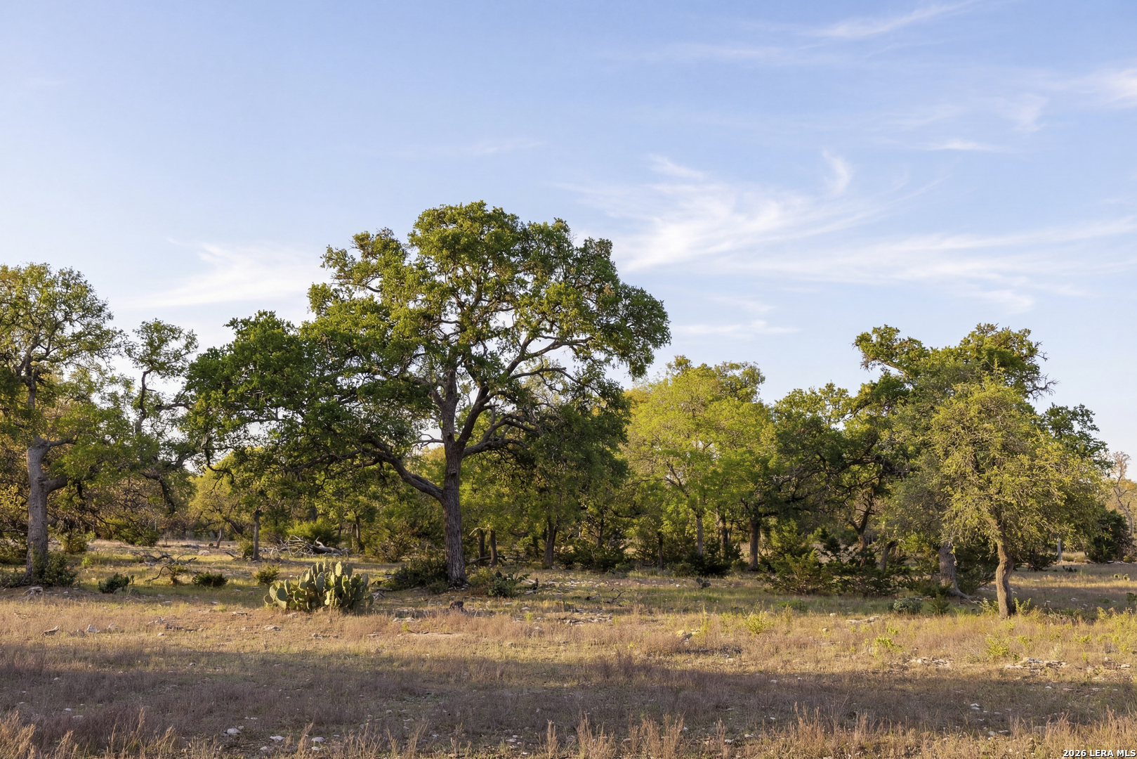 Tbd Sattler Road Spring Branch TX 78070