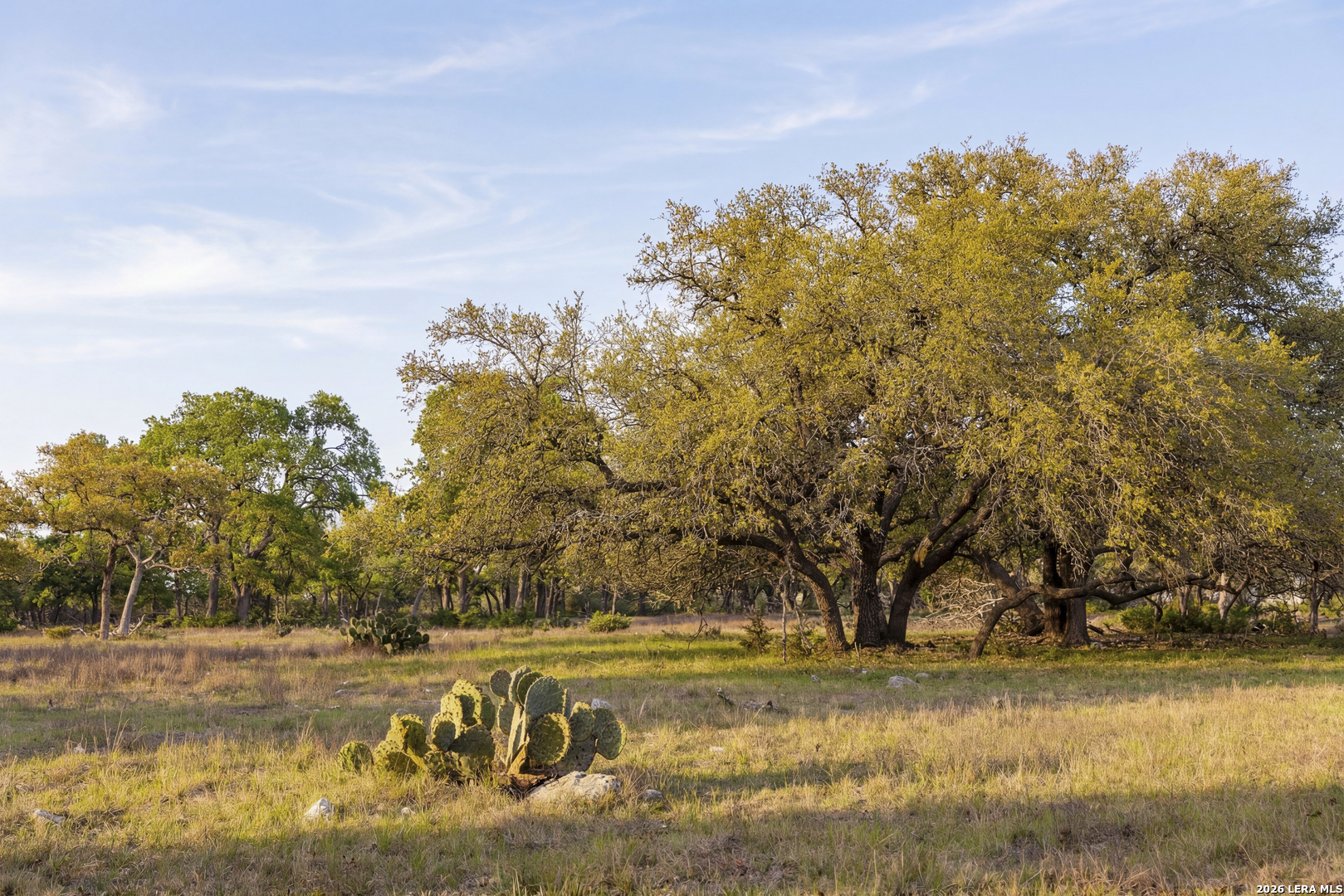 Tbd Sattler Road Spring Branch TX 78070