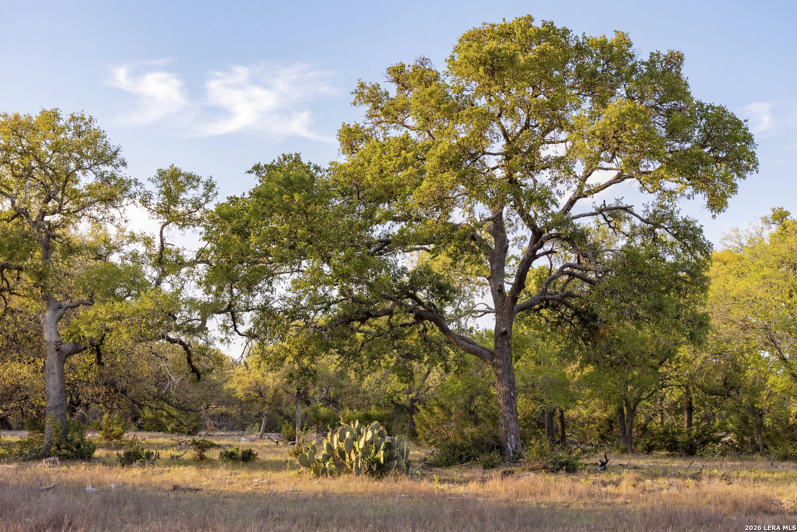 Tbd Sattler Road Spring Branch TX 78070