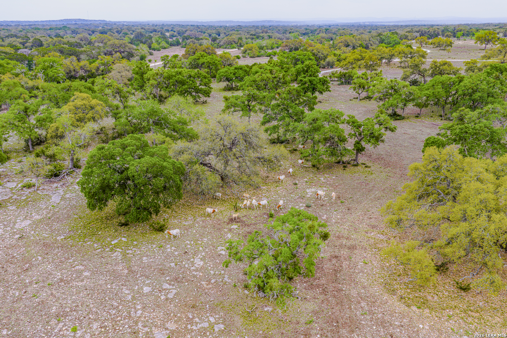 Tbd Sattler Road Spring Branch TX 78070