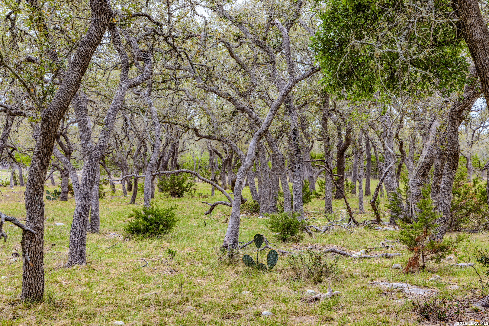 Tbd Sattler Road Spring Branch TX 78070