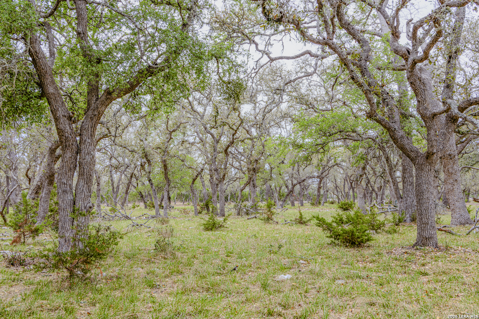 Tbd Sattler Road Spring Branch TX 78070
