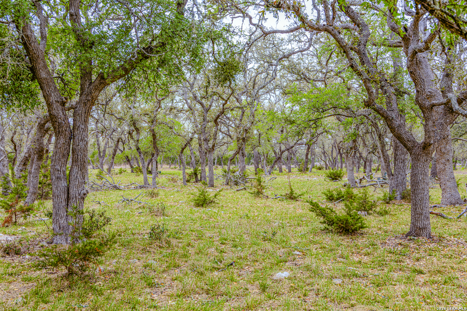 Tbd Sattler Road Spring Branch TX 78070