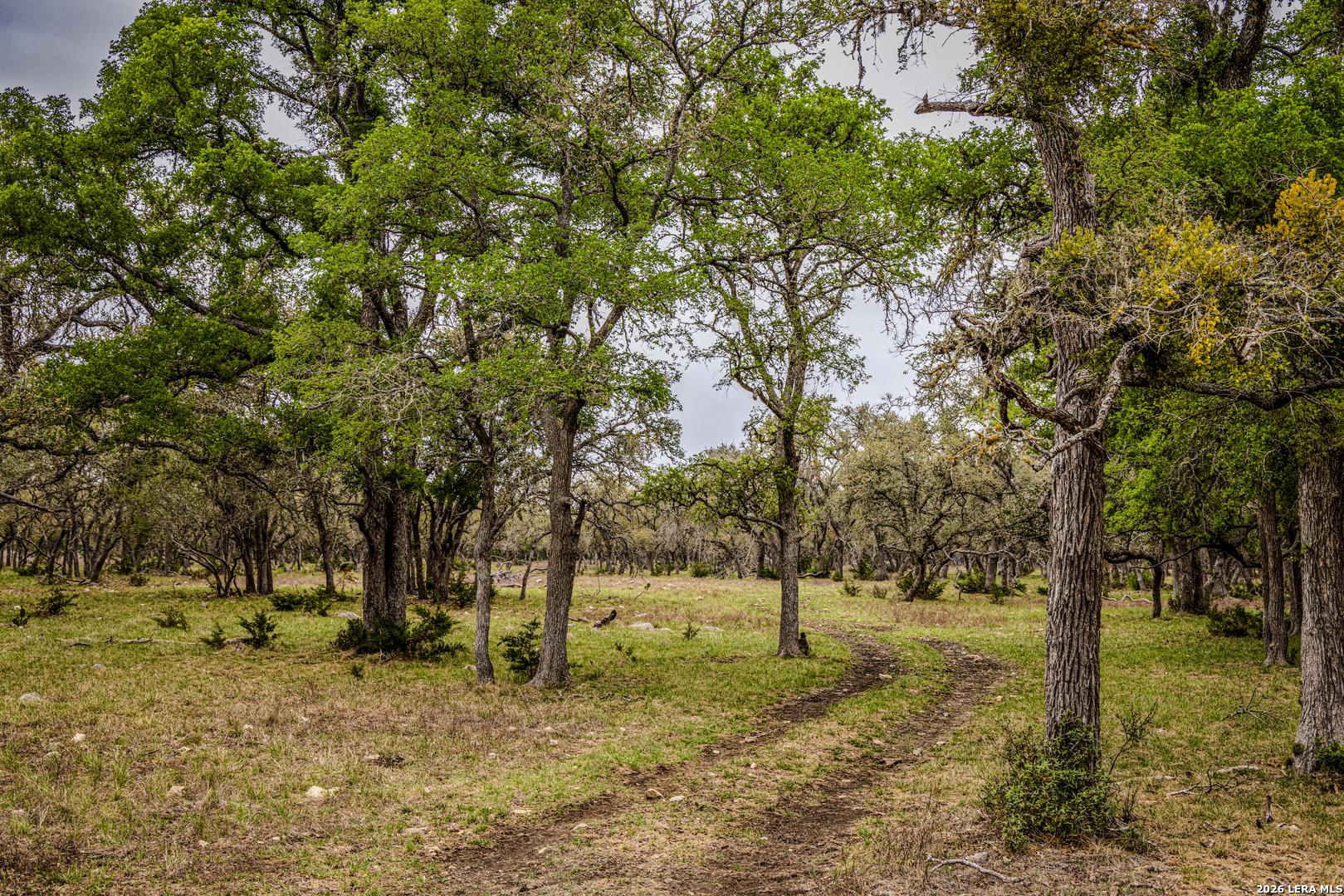 Tbd Sattler Road Spring Branch TX 78070