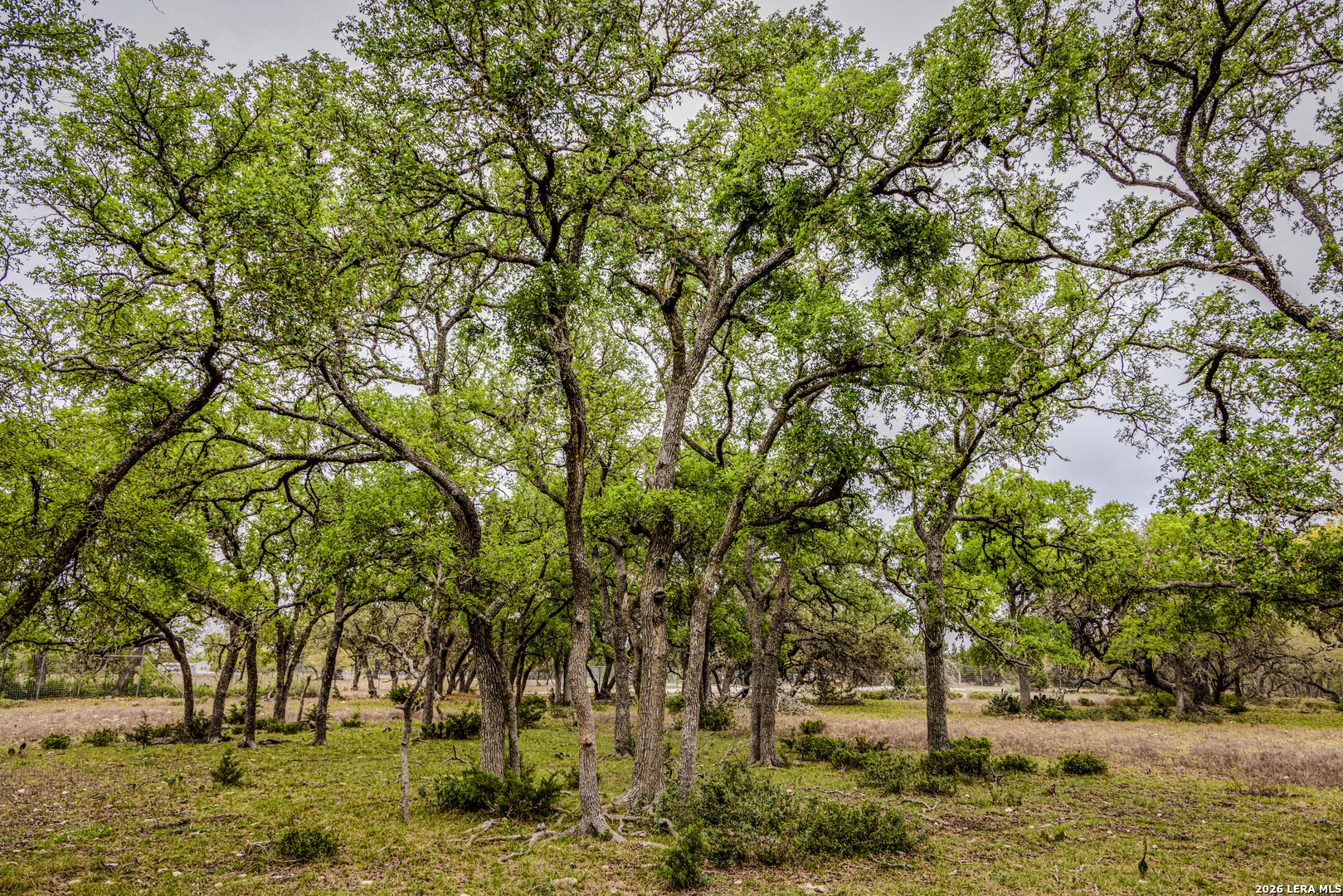 Tbd Sattler Road Spring Branch TX 78070