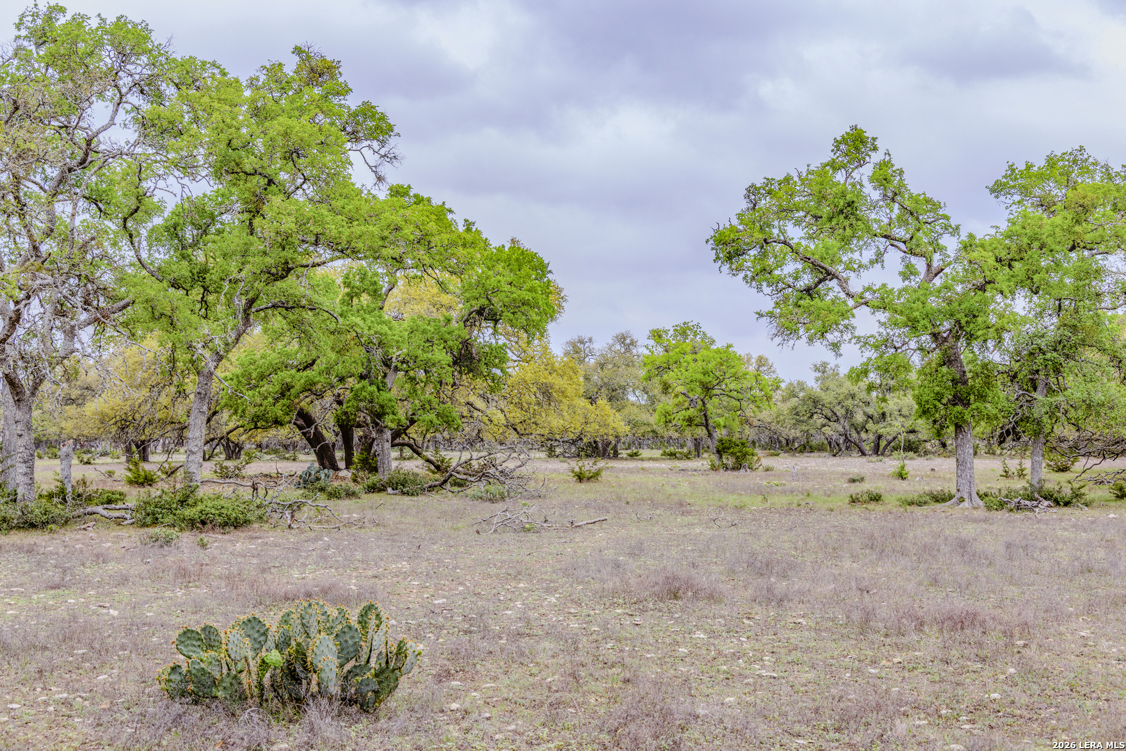 Tbd Sattler Road Spring Branch TX 78070