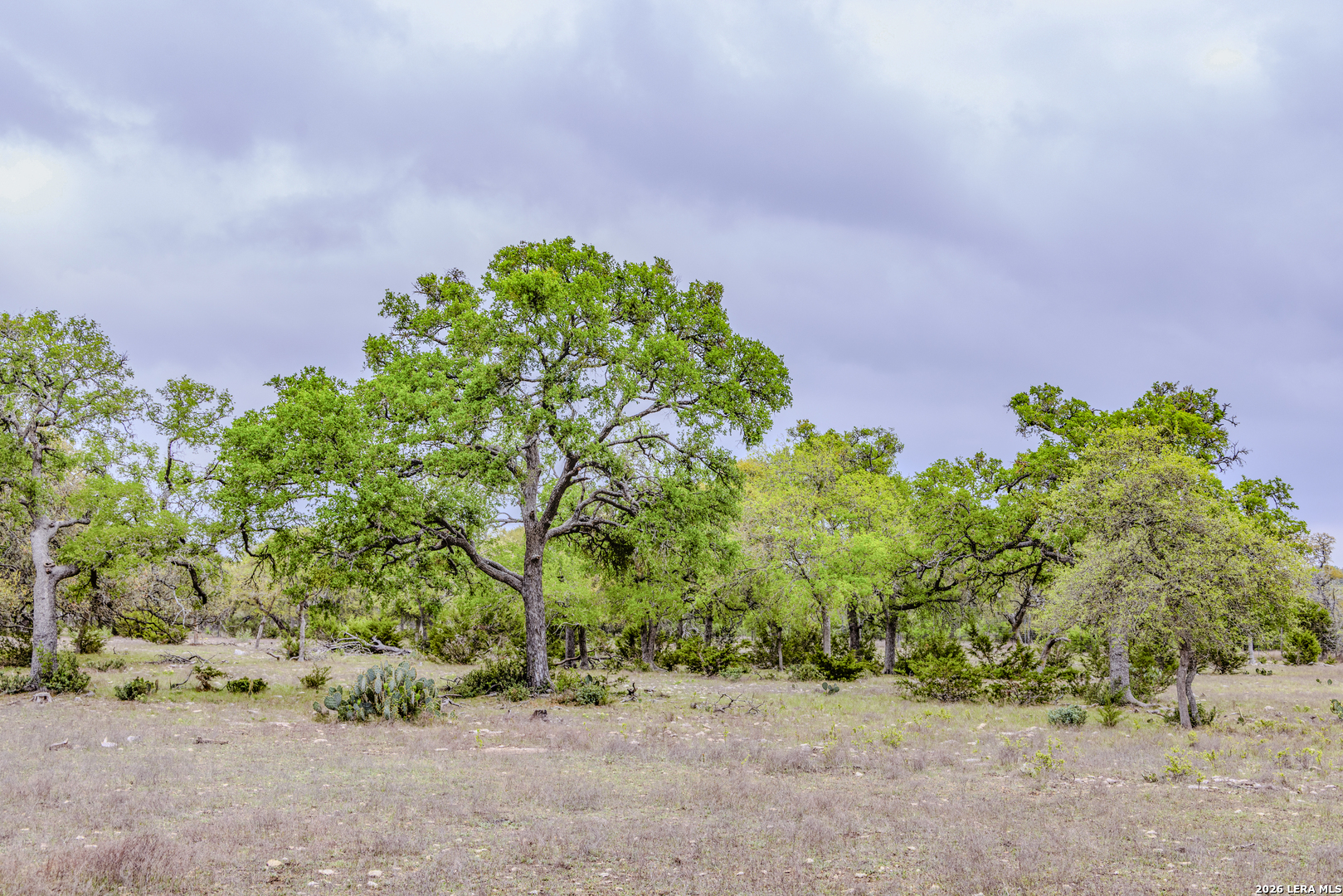 Tbd Sattler Road Spring Branch TX 78070